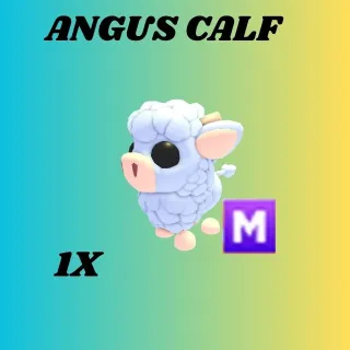 ANGUS CALF 1X- Adopt Me 