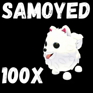 samoyed 100X - ADOPT ME 