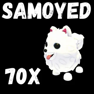 samoyed 70X - ADOPT ME 