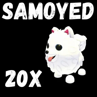 samoyed 20X - ADOPT ME 