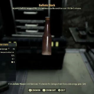 Ballistic Bock X100
