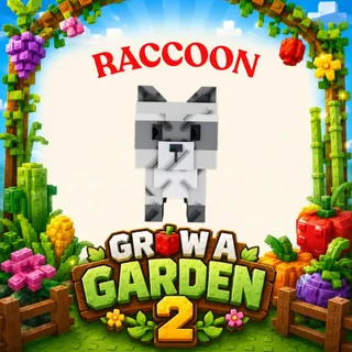 Raccoon 