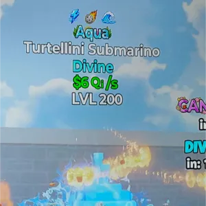 3 trait Aqua Turtle