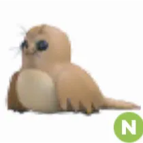 Galapagoes Sea Lion neon