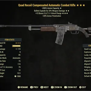 Combat Rifle QE15