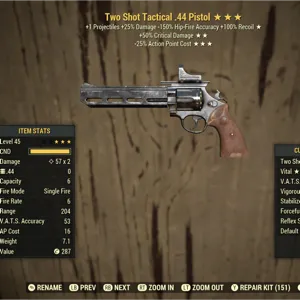 .44 Pistol TS5025