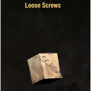 10K LOOSE SCREWS