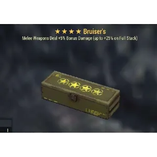 Bruiser's MOD