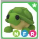 NFR TURTLE