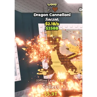 Gold dragon cannelloni 2.1b/s chocolate trait