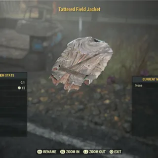 tattered  field jacket