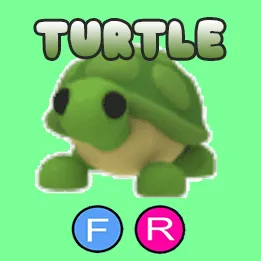 FR TURTLE