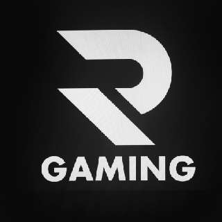 R_Gam1ng - Gameflip