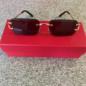 Cartier Glasses