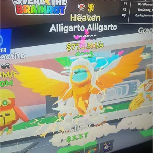 alligarto alligarto