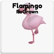 Pet | Flamingo RoGrown Ropets