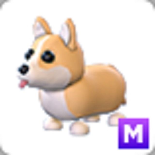 Pet | Mega Corgi Adopt me - Game Items - Gameflip