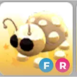 FR golden ladybug