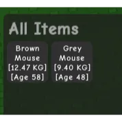 age 45 pet mouse bundle
