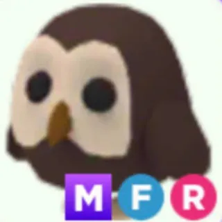 MFR Owl