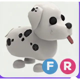 ADM| FR Dalmation