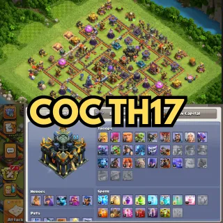 Clash of Clans Th17|Heros 29 30 22 9|Instant Delivery