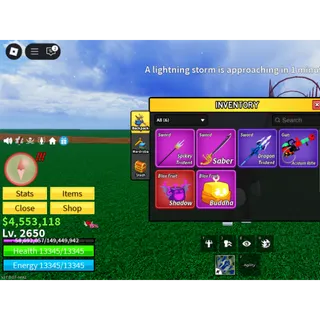 Blox Fruit Lvl 2800 + Items|Instant Delivery