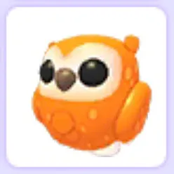 Clementine Owl