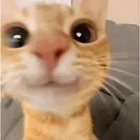 15 SEC Mimic octopus NO TOY - Grow A Garden