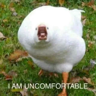 5k Cobalt Flux 