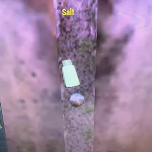 100X SALT