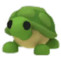 FR | Turtle