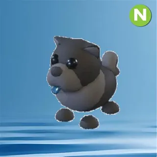 Adopt Me! - NEON Black Chow-Chow [No Pot] - Fast Delivery