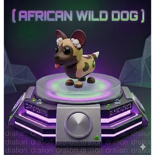 African Wild Dog Pet | Fast Delivery | Safe & Clean