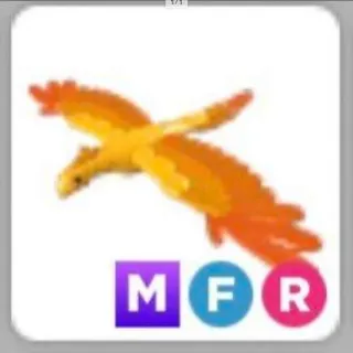 Phoenix Mfr Adopt