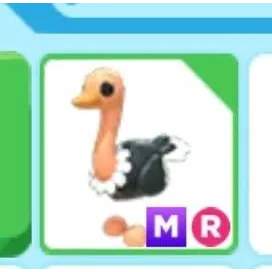 Pet | Ostrich Mega Ride