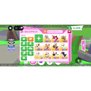 Adopt Me! 11preppy/exotic megas Bundle 6.00 +  value 