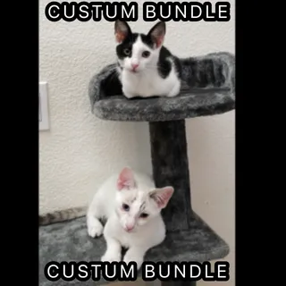 CUSTUM BUNDLE (DO NOT BUY🛑)