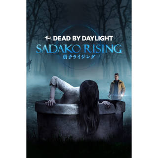 Dead by Daylight: SADAKO RISING Chapter Windows - Other Games - Gameflip