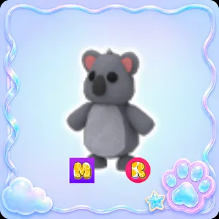 Koala MR - Adopt Me