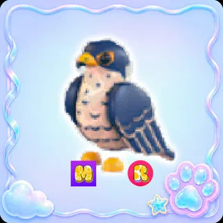 Peregrine Falcon MR - Adopt Me