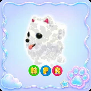 Samoyed NFR - Adopt Me
