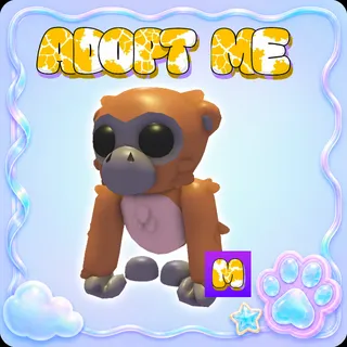 Adopt Me