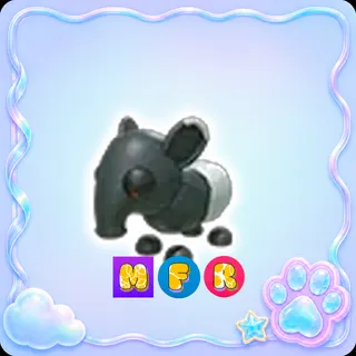 Malayan Tapir MFR - Adopt Me