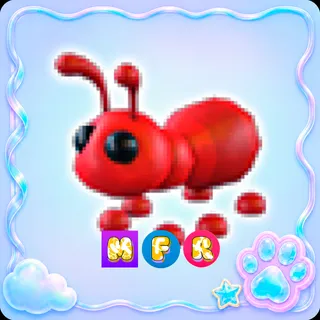 Ant MFR - Adopt Me