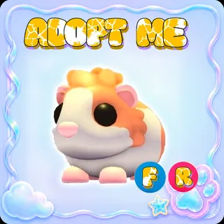 Adopt Me