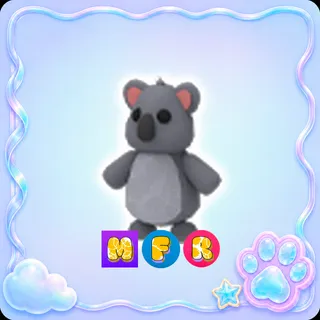 Koala MFR - Adopt Me