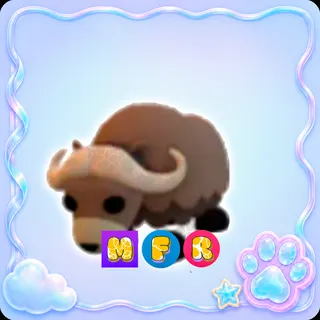 Musk Ox MFR - ADOPT ME