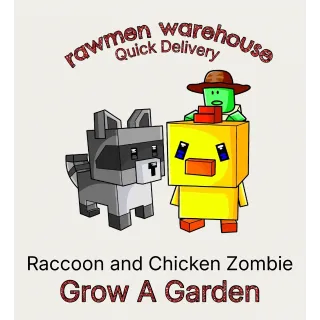 Raccoon and chicken jockey 