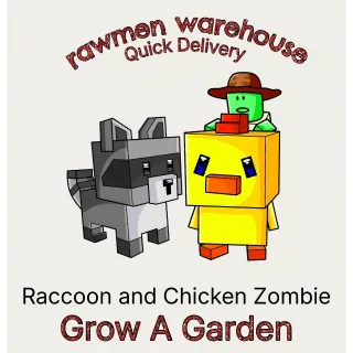 Raccoon and chicken jockey 